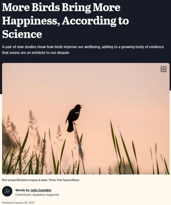 audubon_birding_happiness